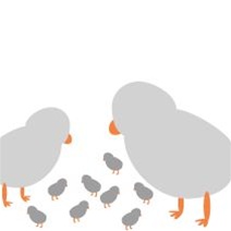 avalisa Animals Collection Wall Art - Baby Chickens