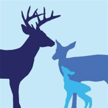 avalisa Animals Collection Wall Art - Deer