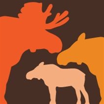 avalisa Animals Collection Wall Art - Moose