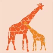 avalisa Animals Collection Wall Art - Reticulated Giraffe