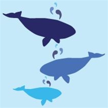 avalisa Animals Collection Wall Art - Whales