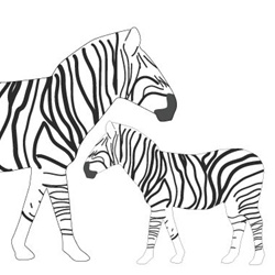 avalisa Animals Collection Wall Art - Zebra