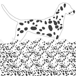 avalisa Animal Patterns Collection Wall Art - Dalmation Pattern