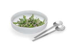 Blomus Fresca Salad Bowl Set w/Servers