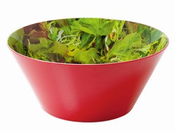 Mixed Salad Bowl